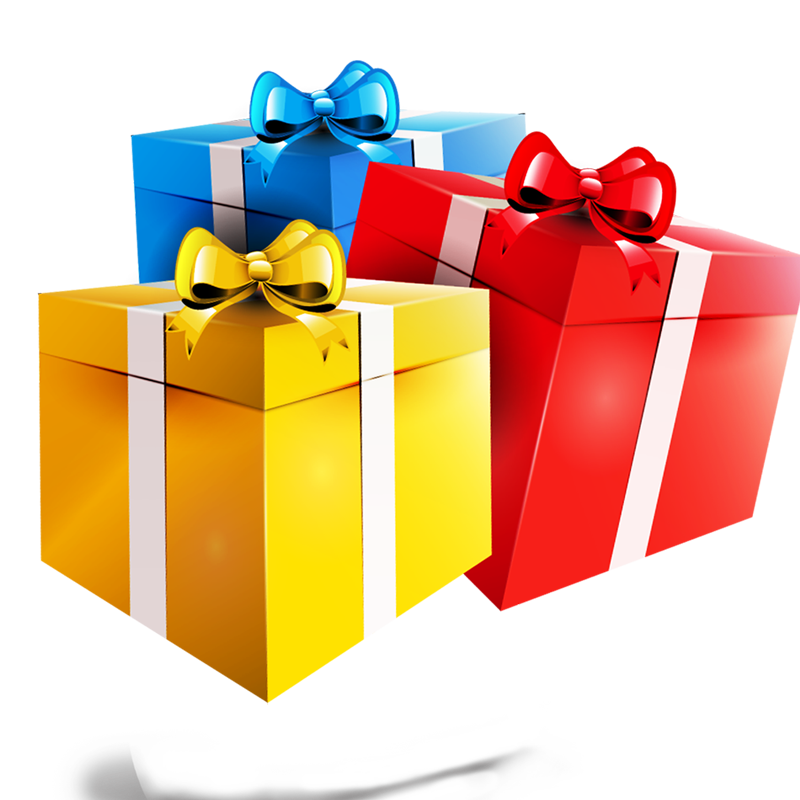 Special Prize
